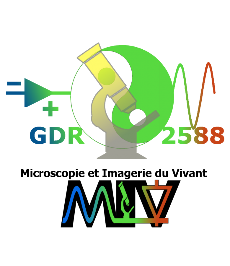 logo gdrMIV